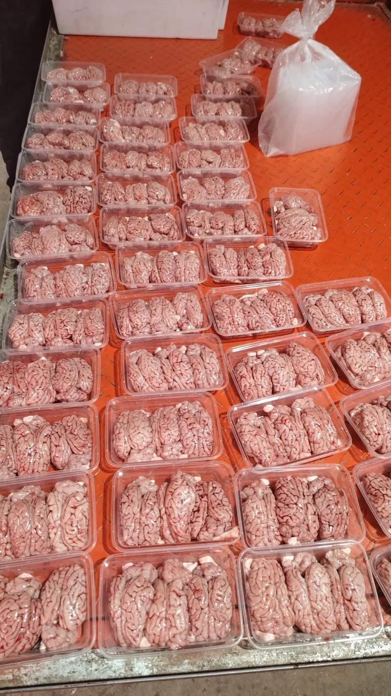 张家港肉自由新选择 青草巷阿部鲜肉批发，新鲜直达万家